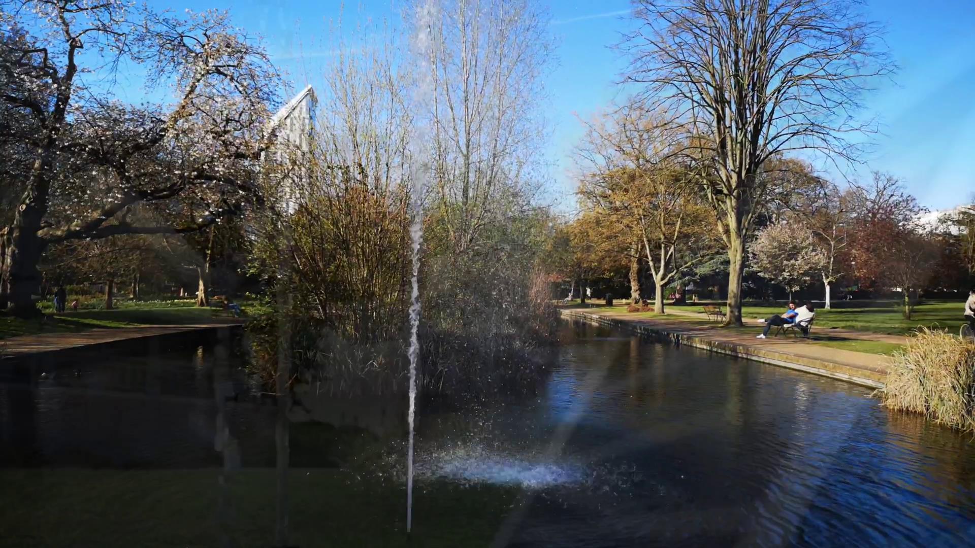 What Are the Best Solar Water Pumps Available