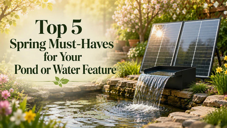 Top 5 Spring Must-Haves for Your Pond or Water Feature
