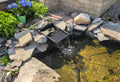 Pond Makeover: Freshen Up with Poposoap and Add Premium Red Goldfish