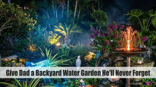 Forget the Mug — Give Dad a Backyard Water Garden He'll Never Forget