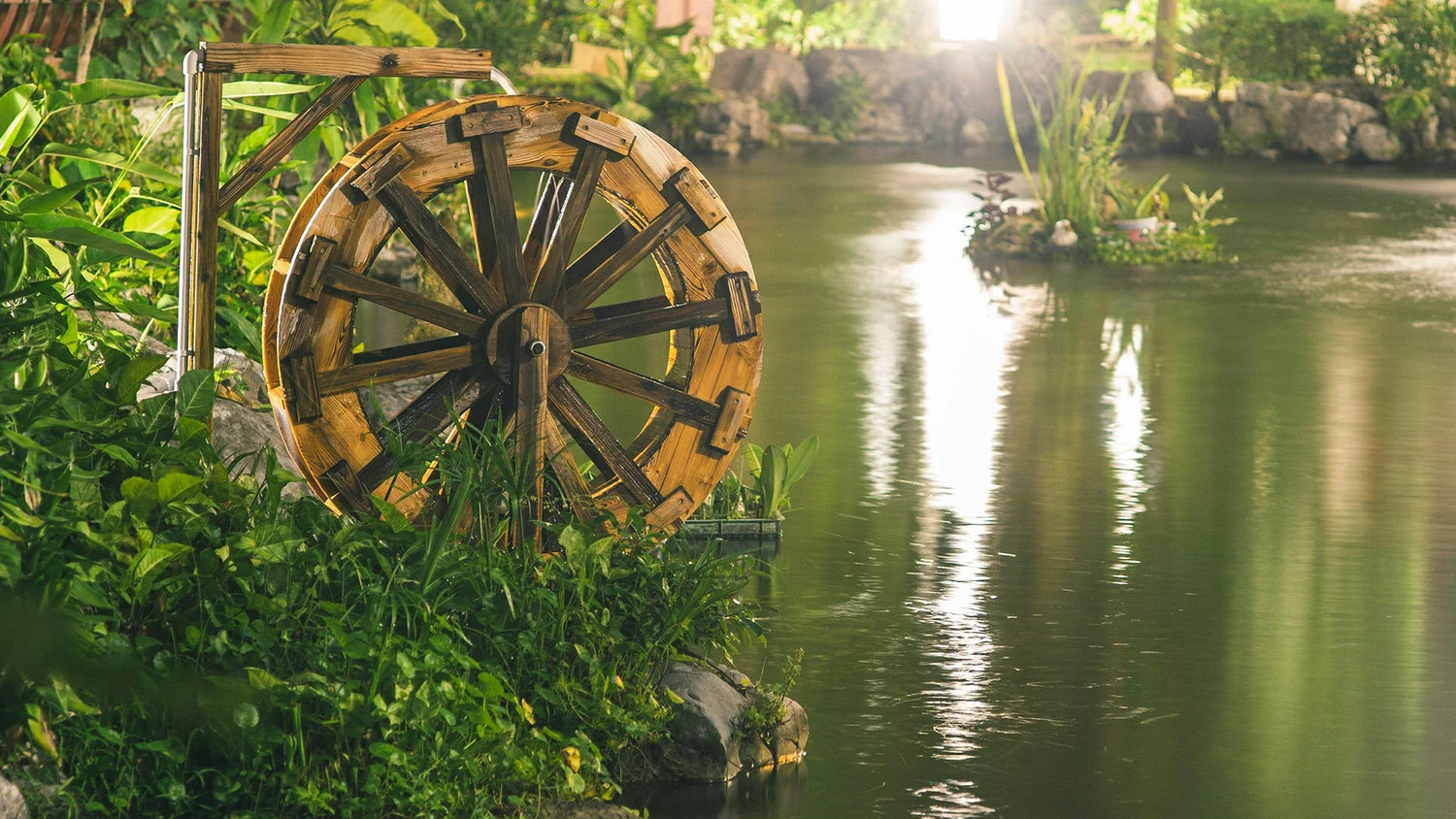 build a wildlife pond without fish