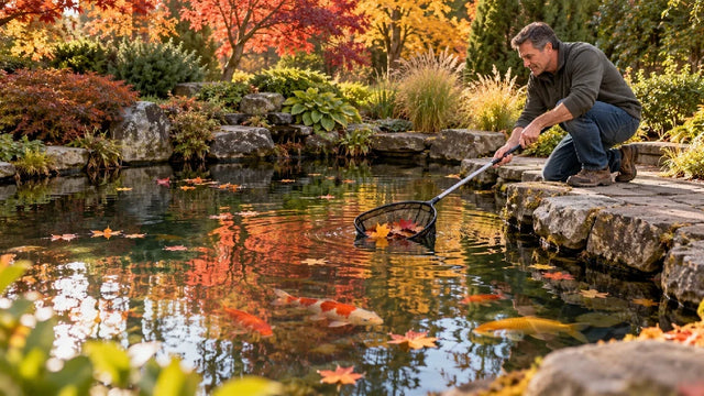 How to Prepare Your Pond for Fall?