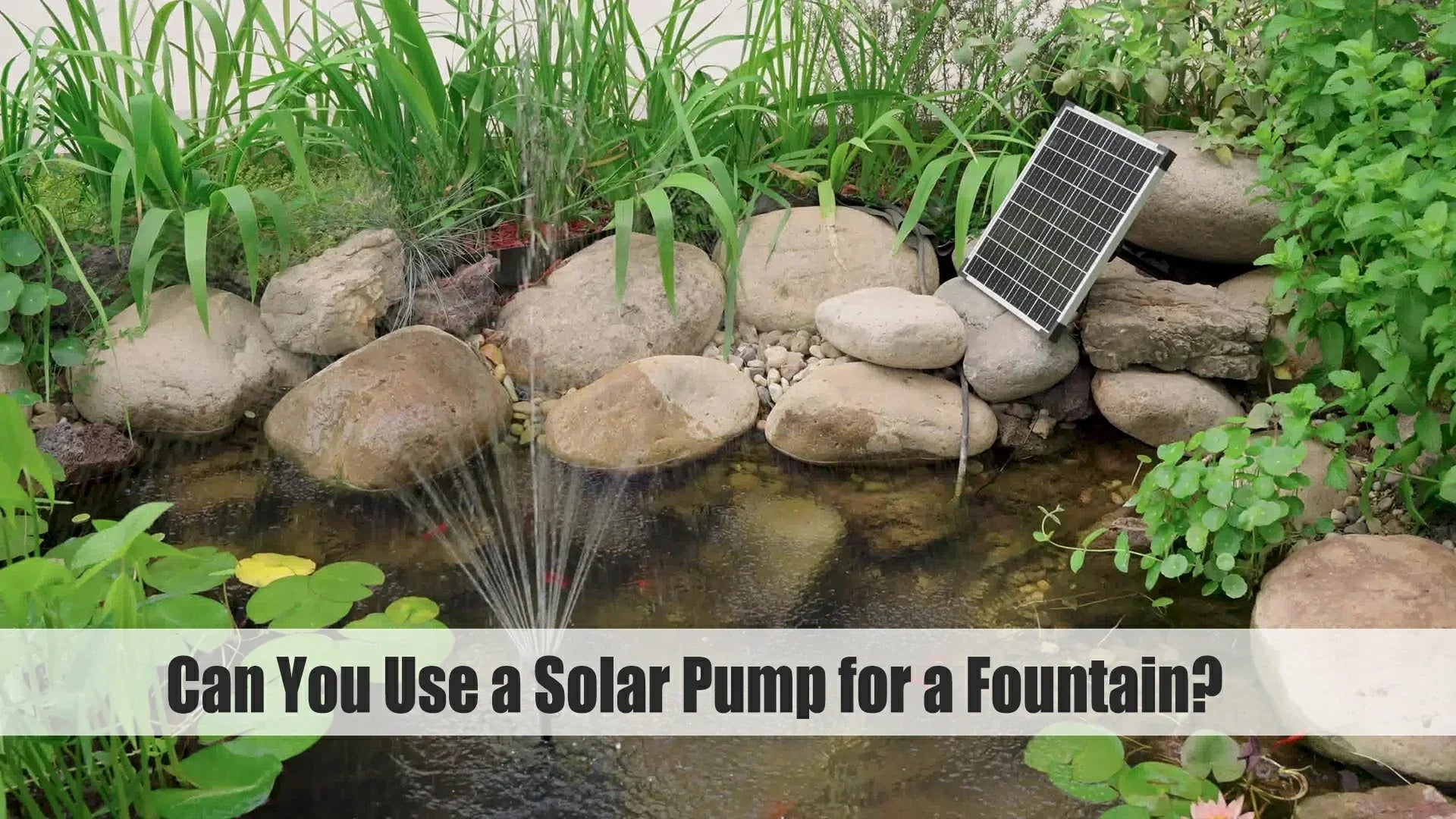 pond can you use a solar pump for a fountain