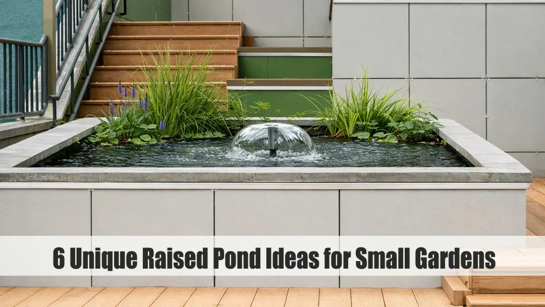 raised pond ideas for small garden