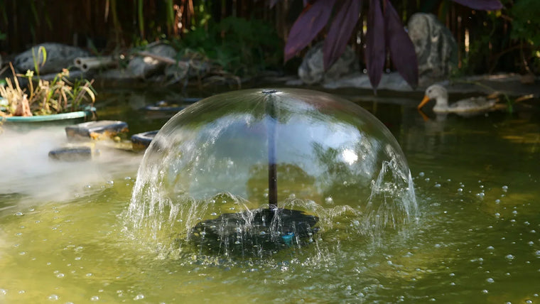 How to Choose the Right Pond Filter for Your Space