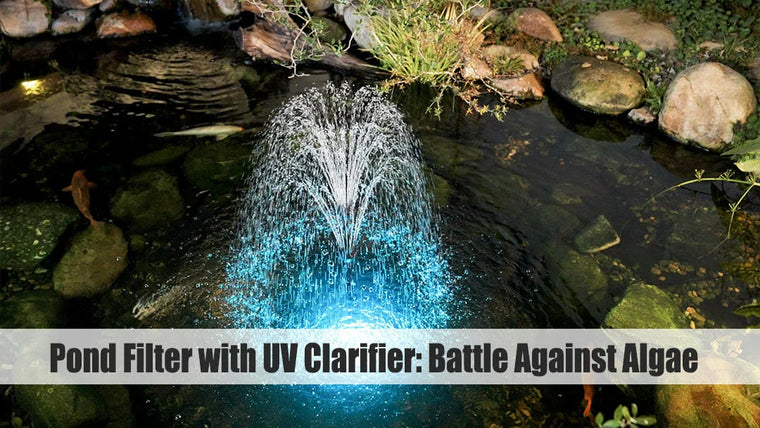 Pond Filter with UV Clarifier: Your Weapon in the Battle Against Algae