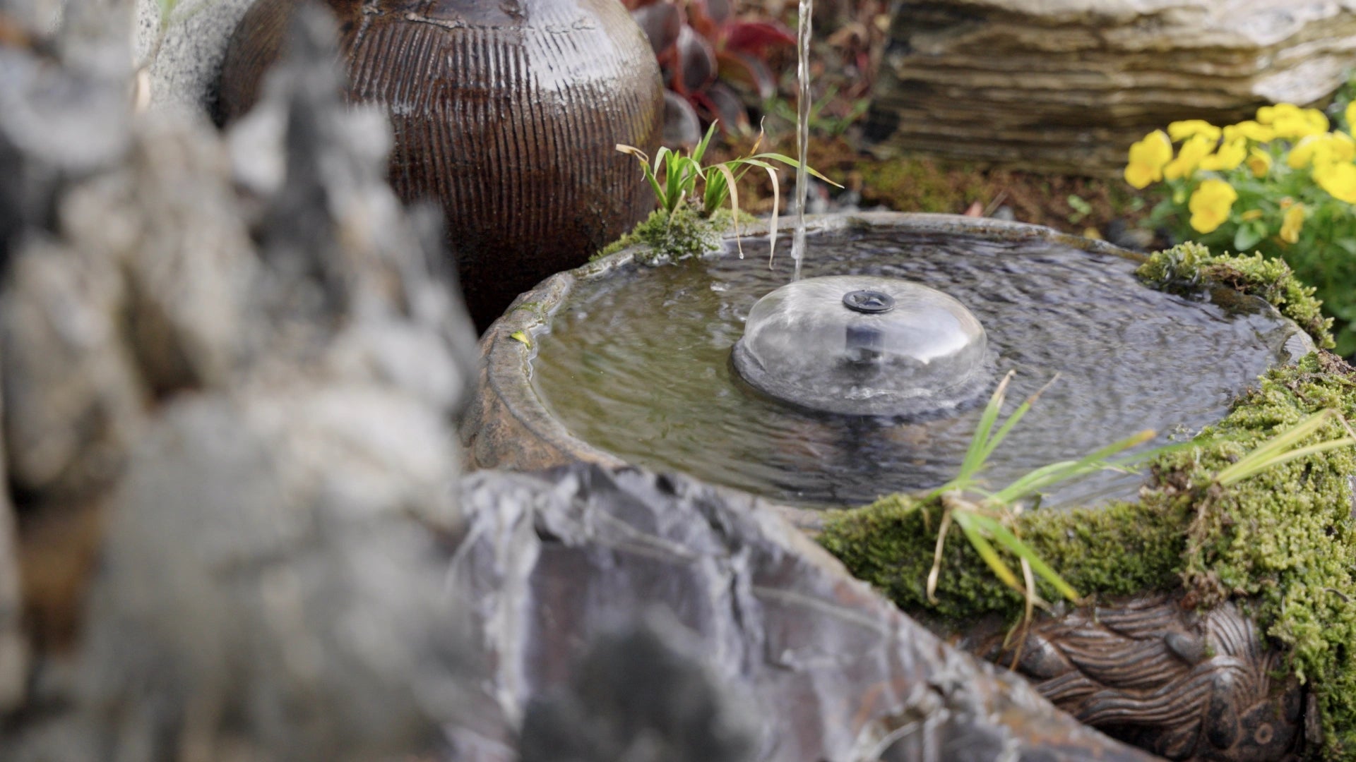 Image 3: 7.5W PopoSoap Solar Fountain Pump
