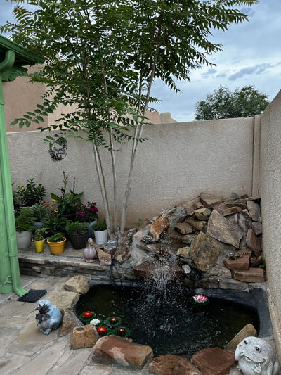 Customer photo