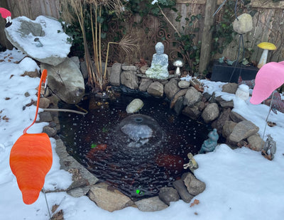 Customer photo