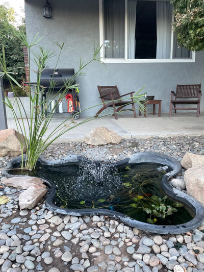 Customer photo