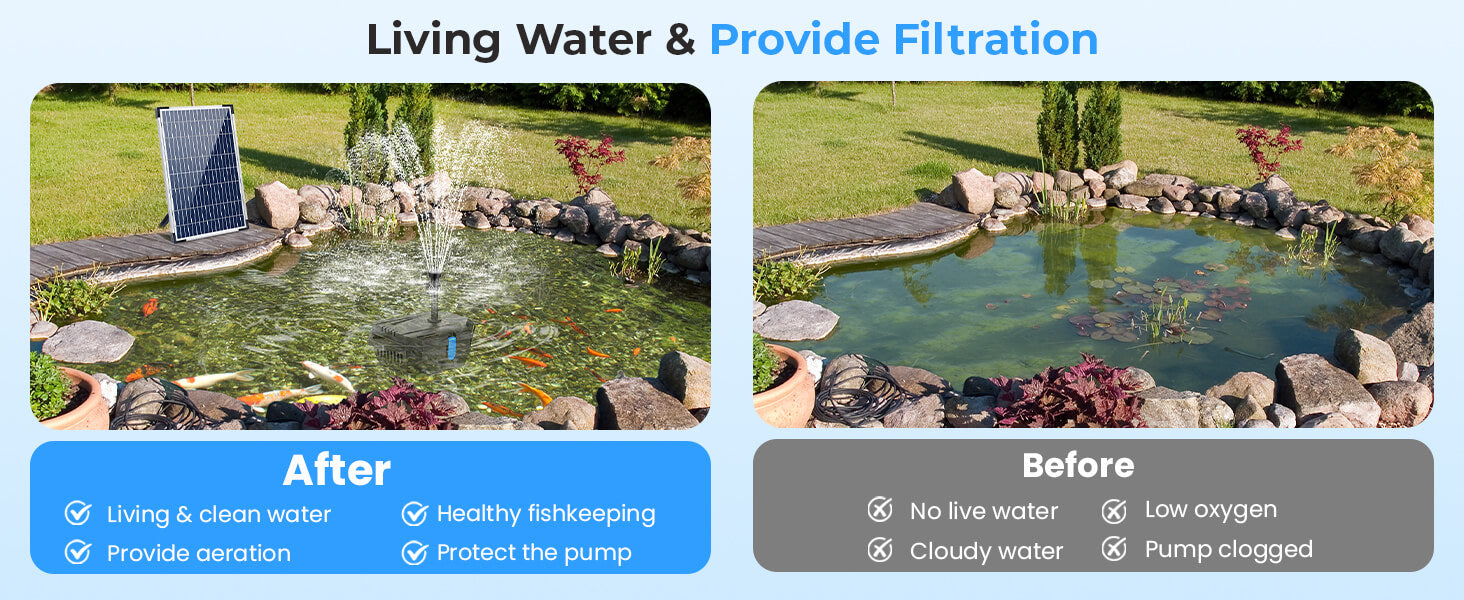 Transform Your Pond – Clear Water Starts Here