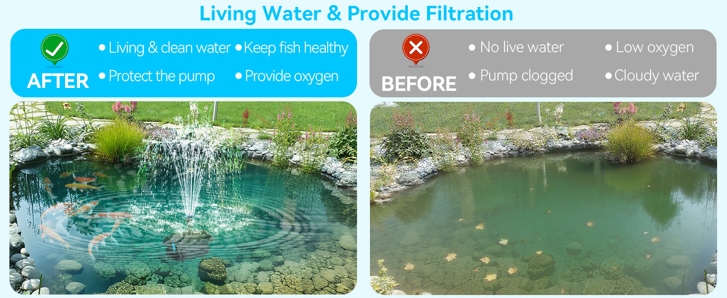 From Murky to Crystal Clear – See the Difference