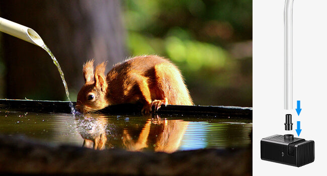 Solar Water Pump for Backyard Water Features