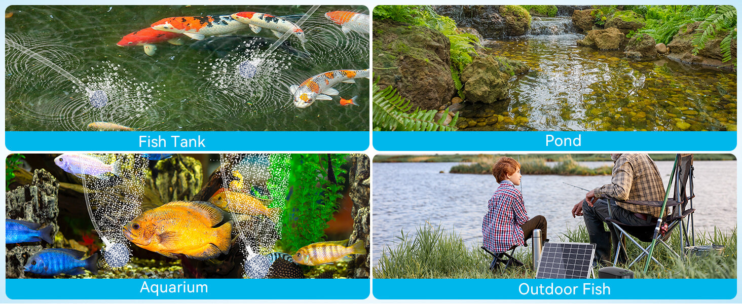 All-in-One Aquatic Lifesaver