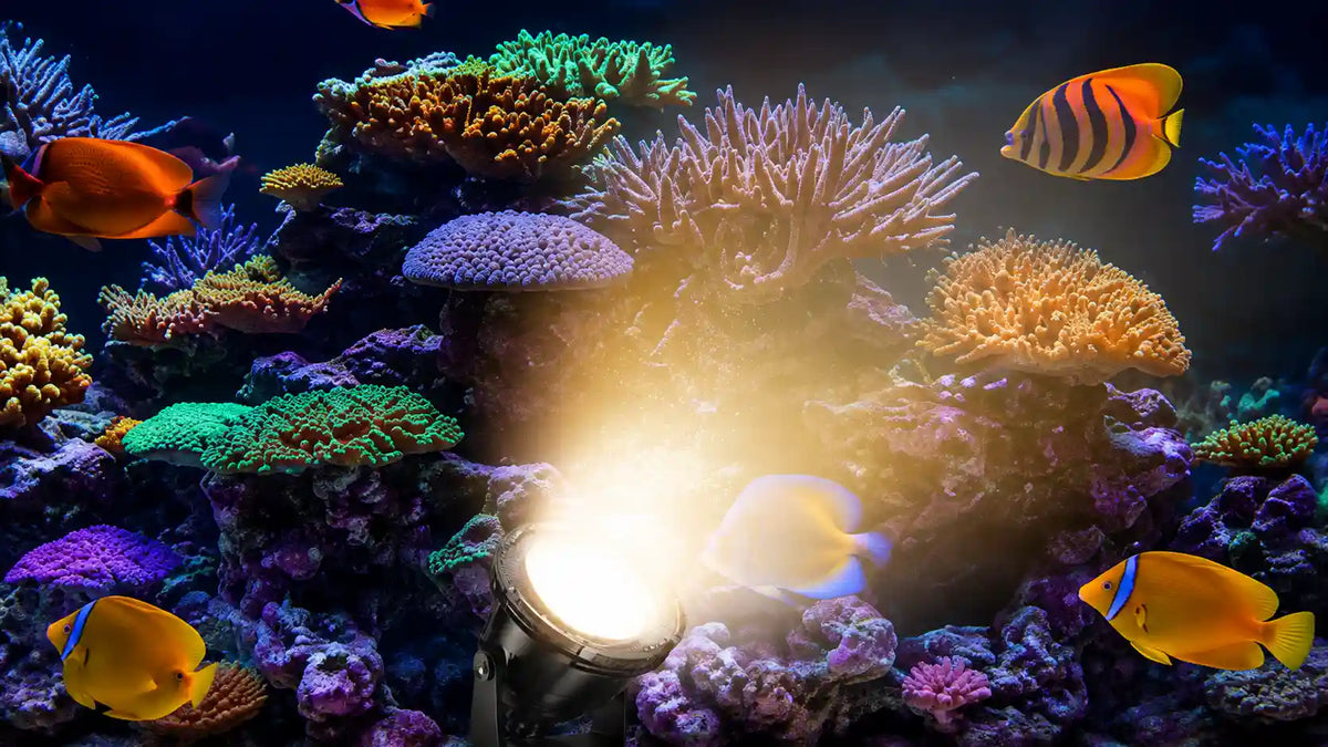 Aquarium pond lights solar