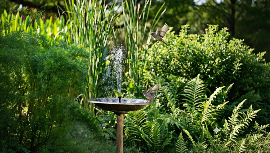 Solar bird bath fountain running in a garden with moving water