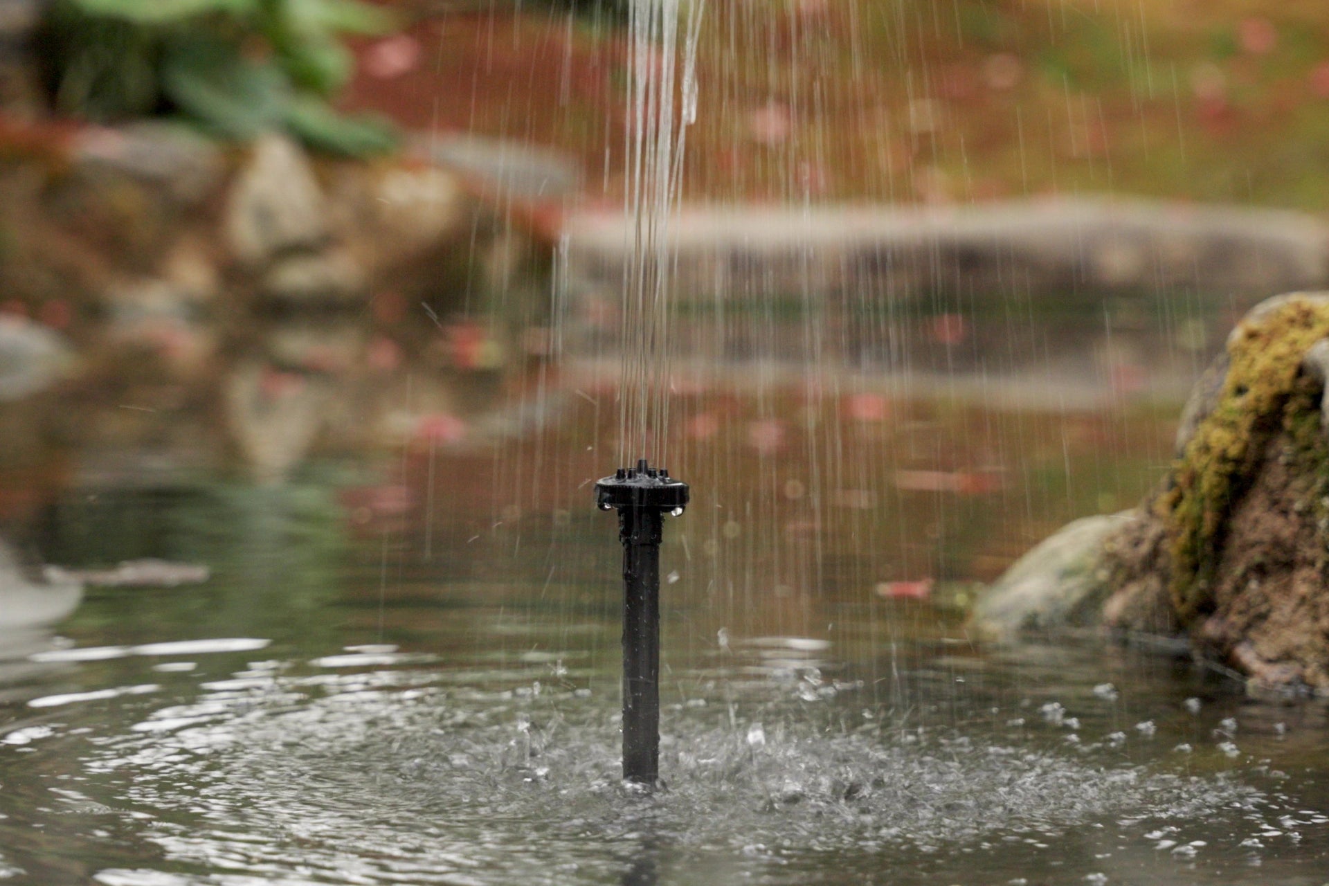 Solar Water Pump Kit