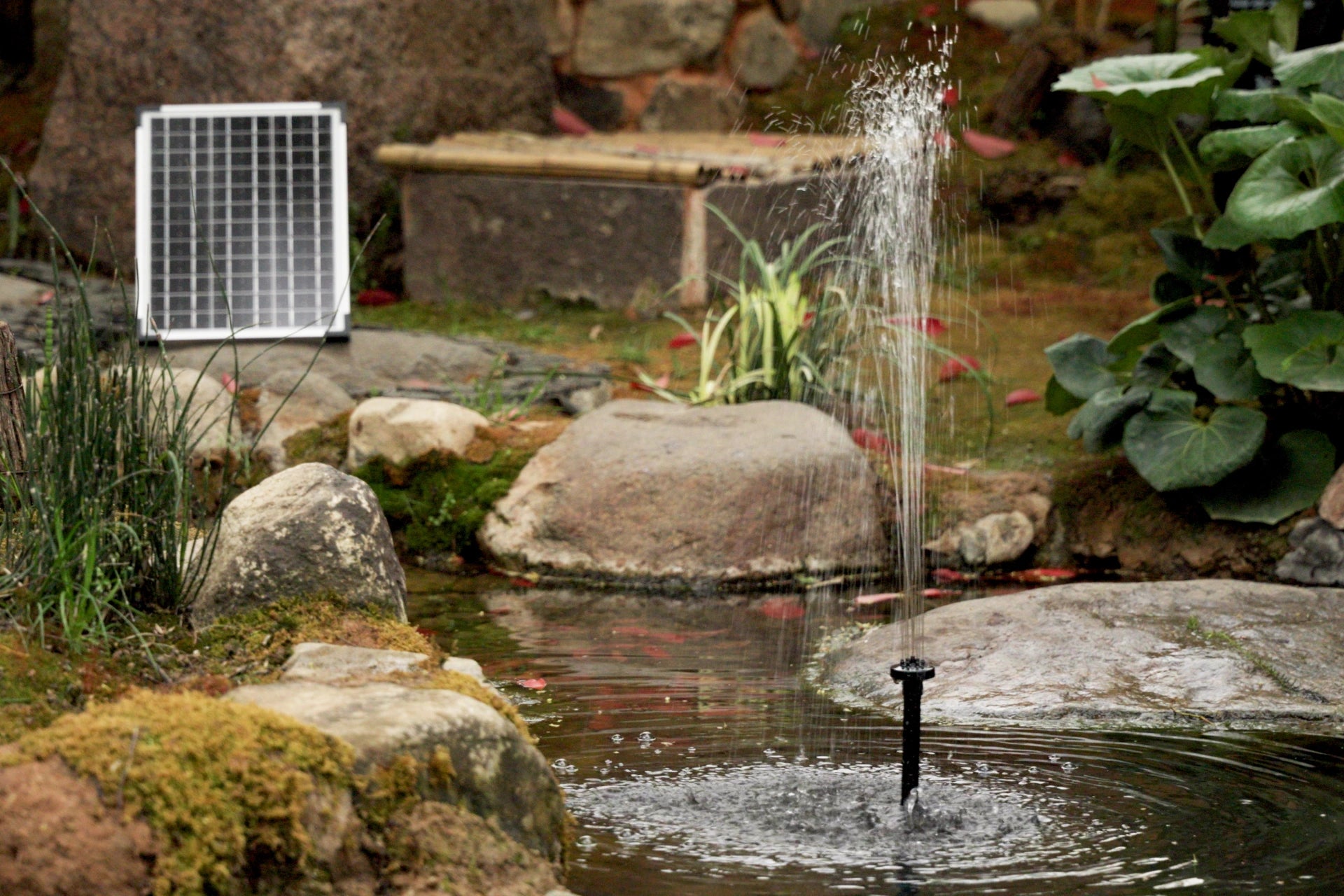 Sunnydaze Solar Water Pump Kit
