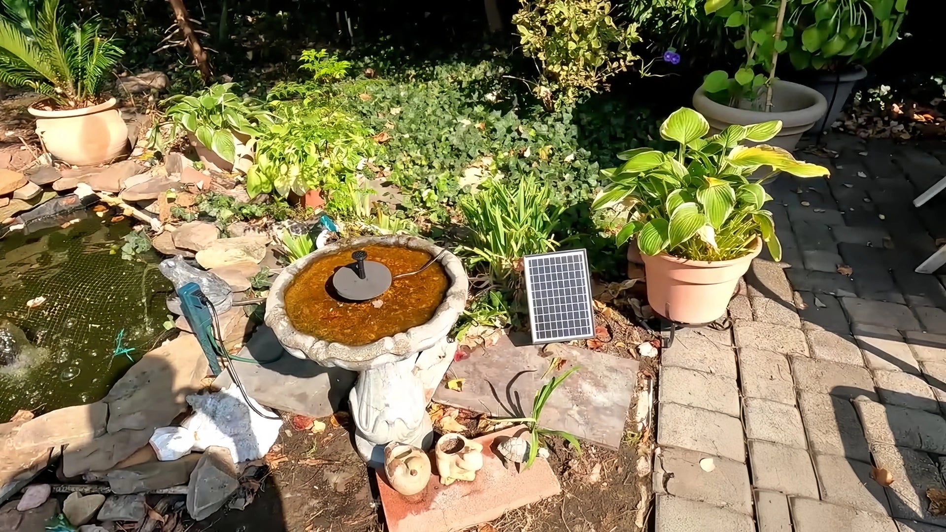 Solar Water Pump Bird Bath 2