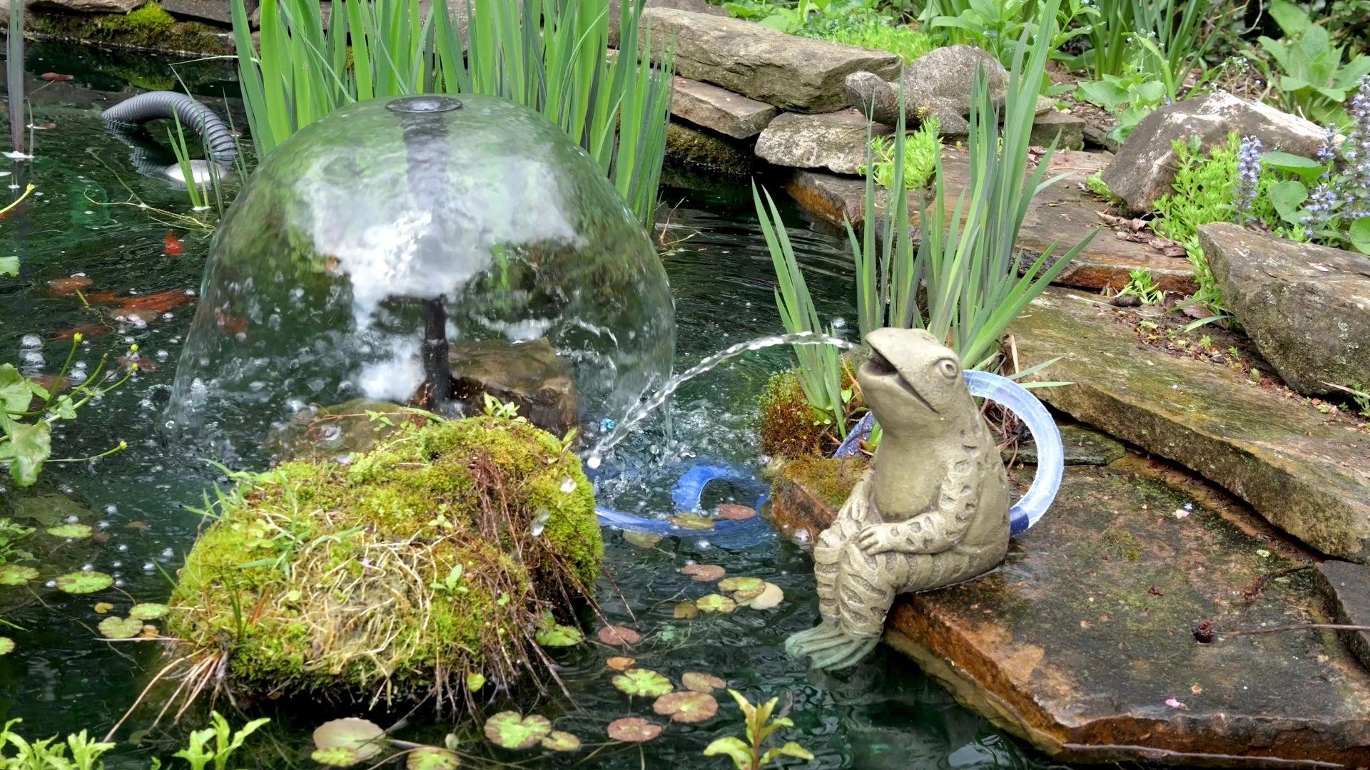Solar Powered Fountain Pump: A Stylish Step Toward Sustainable Serenity Solar Powered Fountain Pump: A Stylish Step Toward Sustainable Serenity