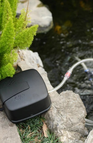 POPOSOAP solar pond aerator sending bubbles through two air stones