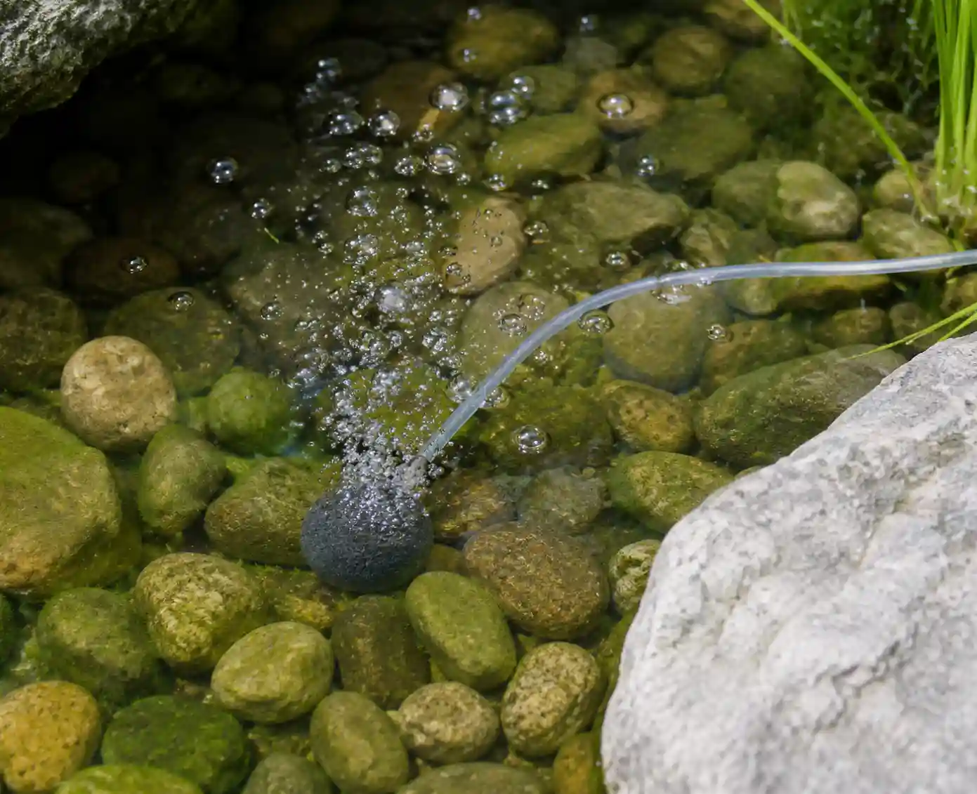 Place_the_air_stone