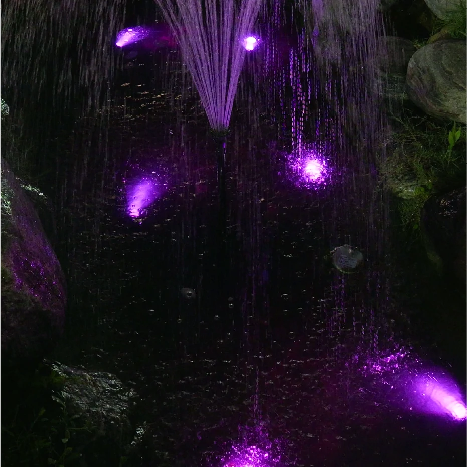 Pond Light purple