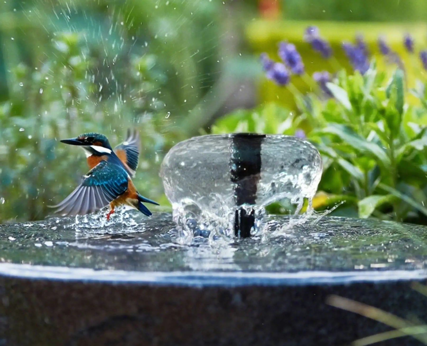 Bird Bath Fountains
