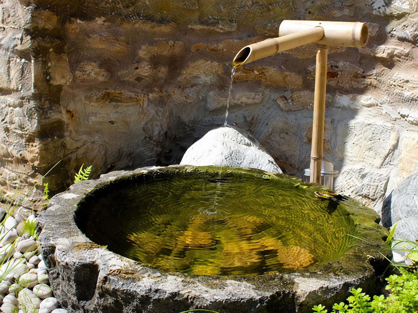 Water Feature