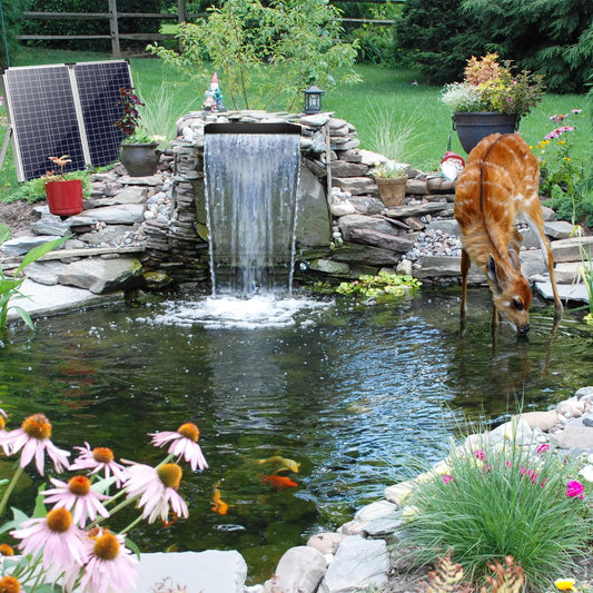 70W Solar Panel 40W 580GPH 12"x4.3" Metal Waterfall Kit