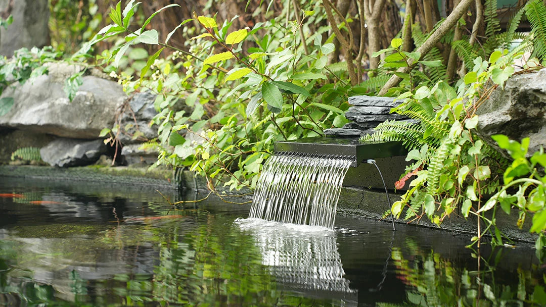Backyard water feature example