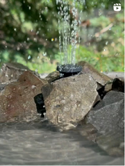 Bird Bath Fountain