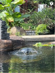 Pond Fountains