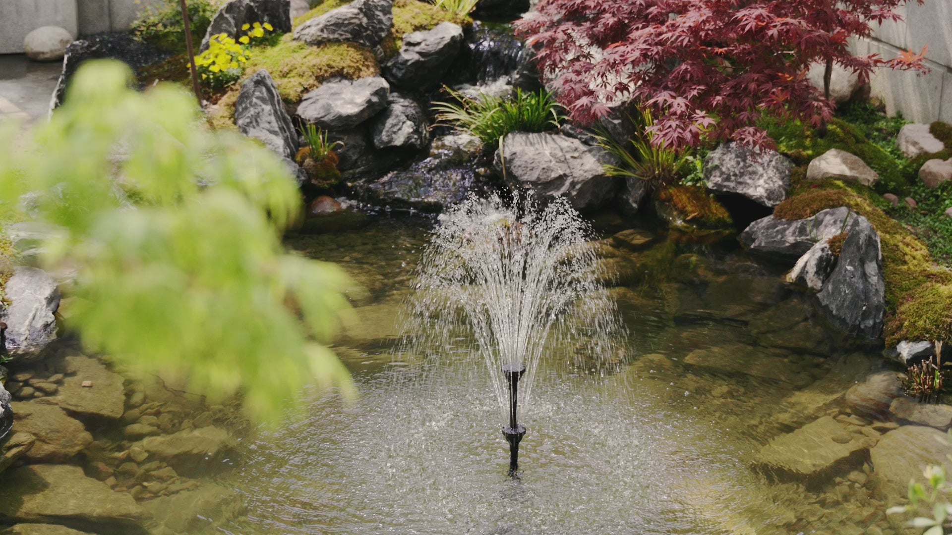 Solar Pond Filter Fountain