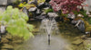 Solar Pond Filter Fountain