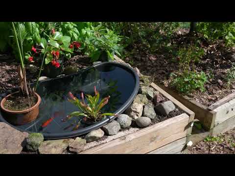 33 Gallon Rigid Preformed Plastic Ponds