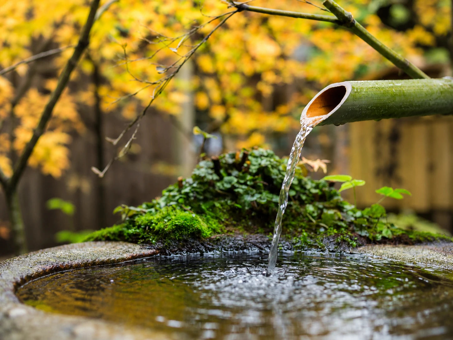 solar waterfall garden koi pond