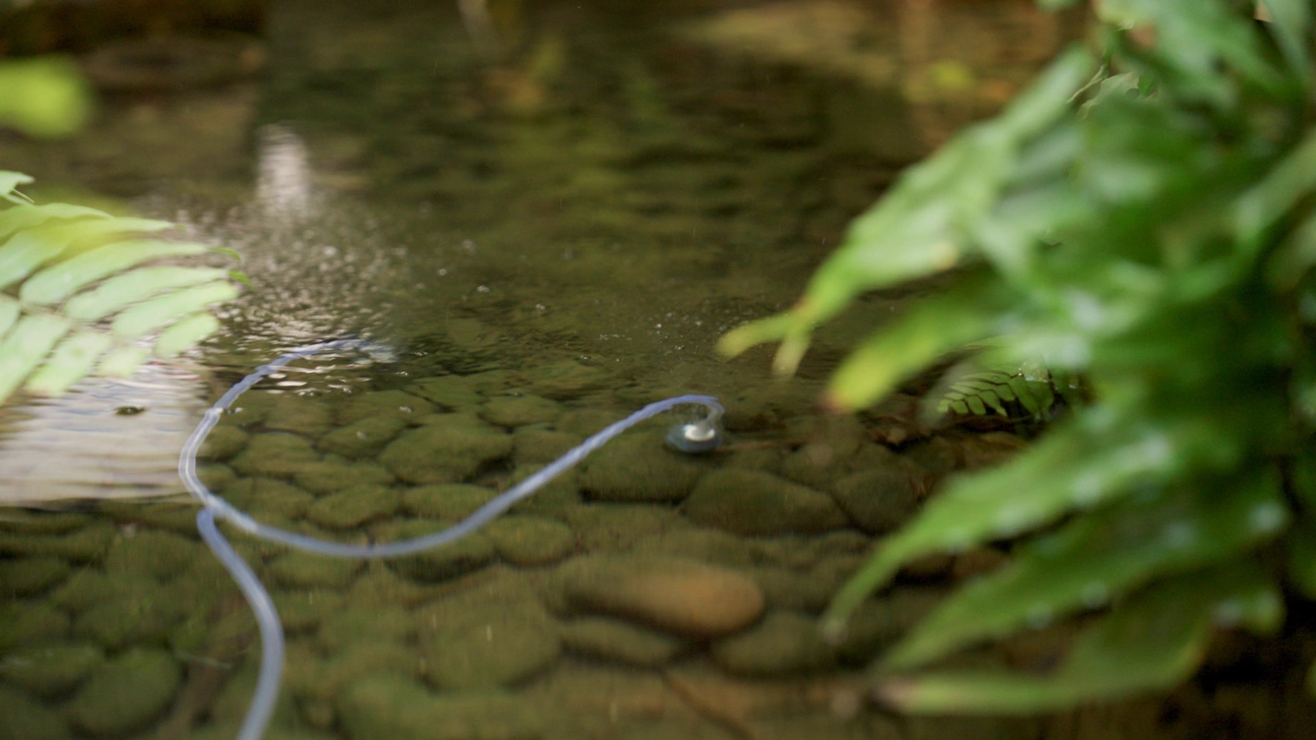 Solar Pond Aeration System
