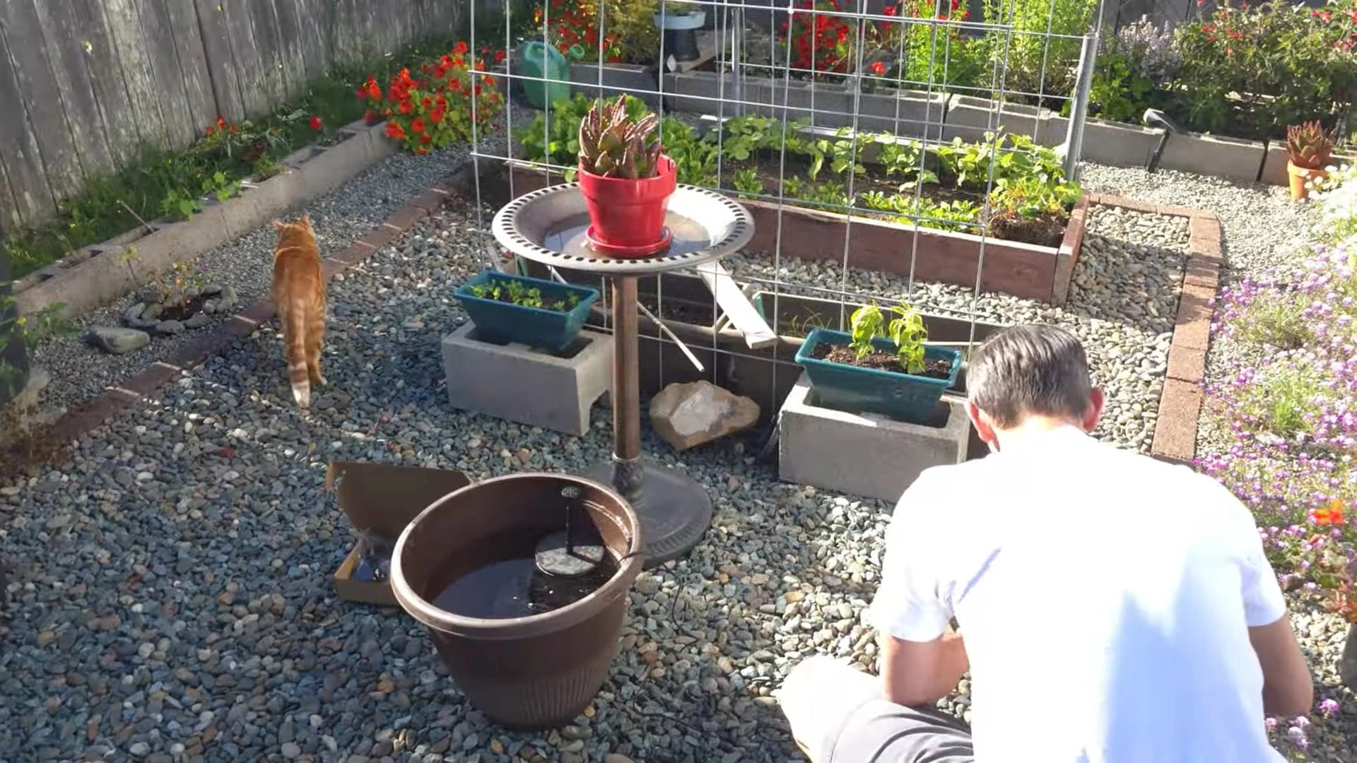 Solar Powered Birdbath Fountain