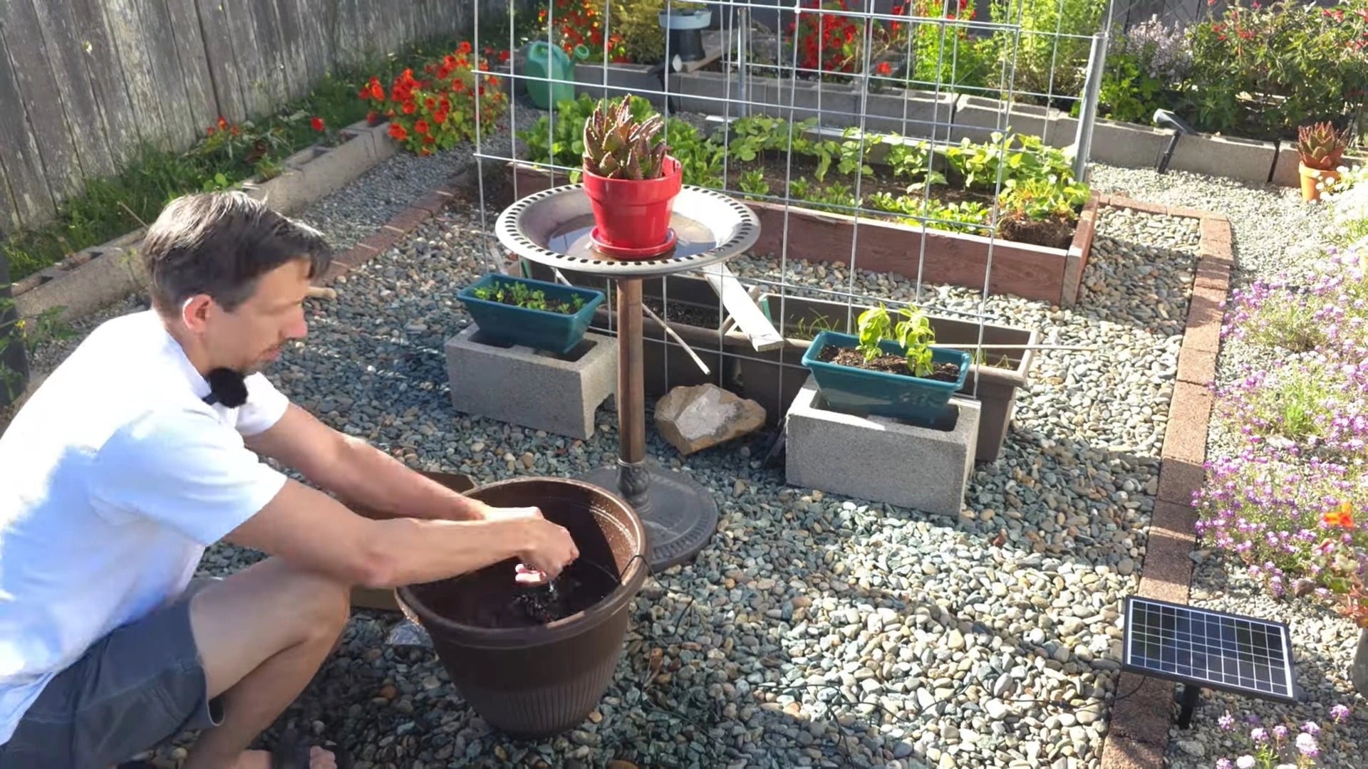 Solar Powered Birdbath Fountain