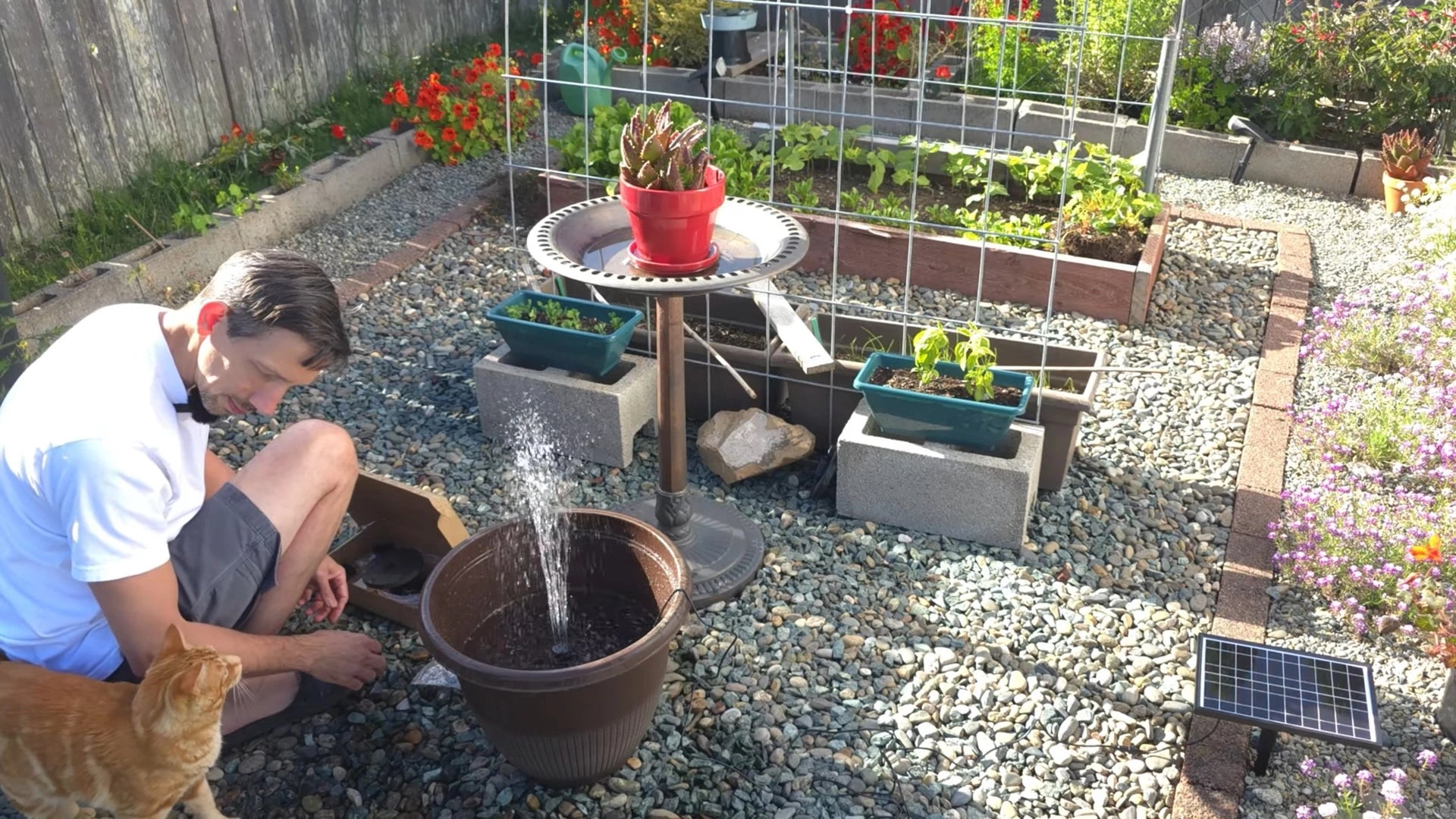 Solar Powered Birdbath Fountain