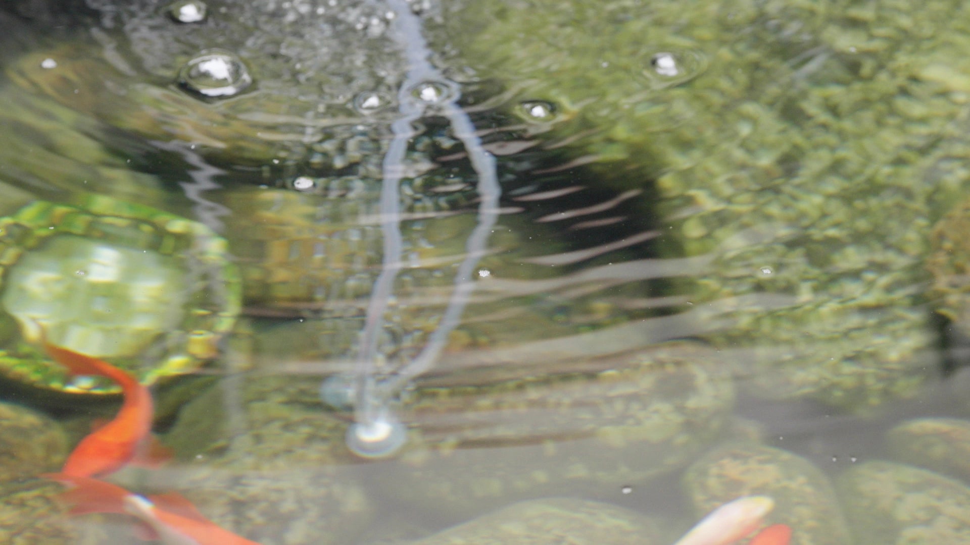 Solar Powered Pond Aeration