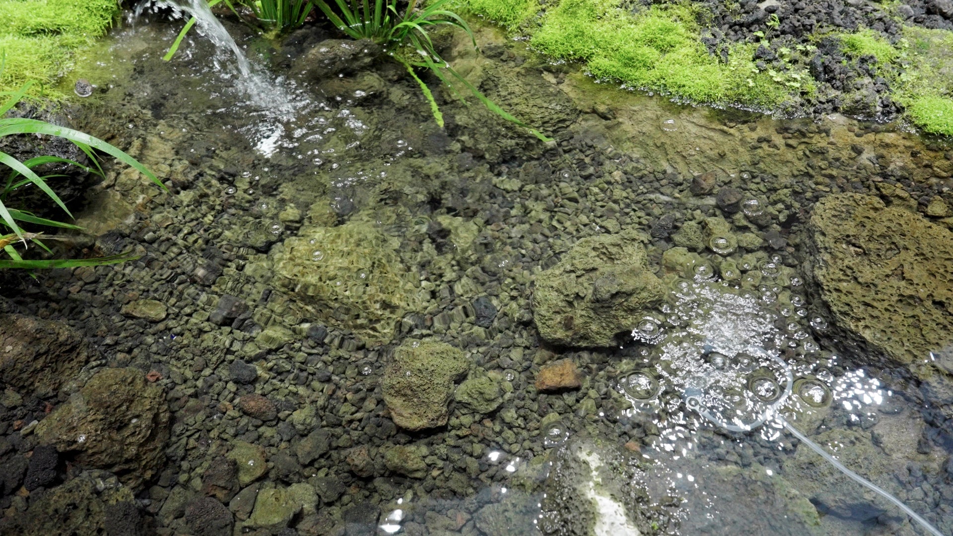 Solar Powered Pond Aeration
