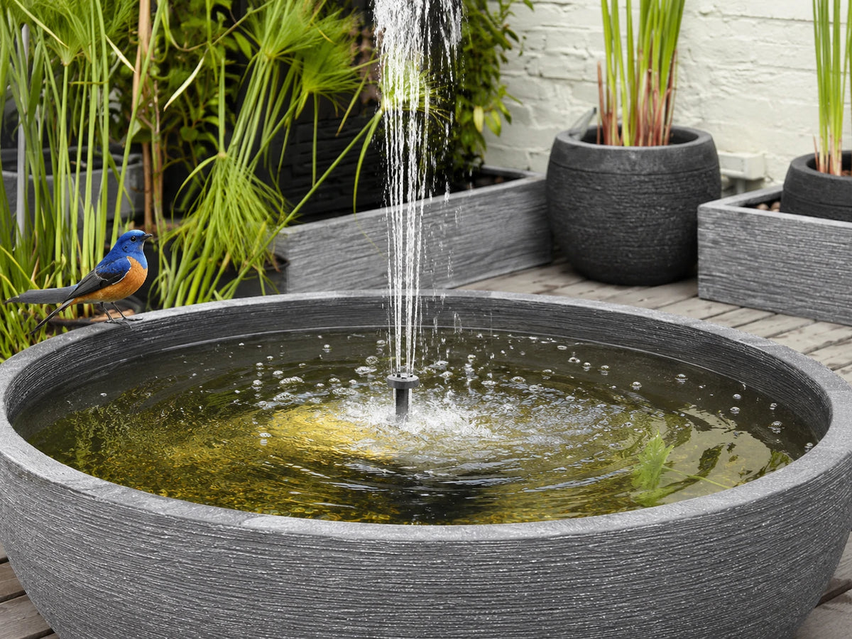 Bird Bath